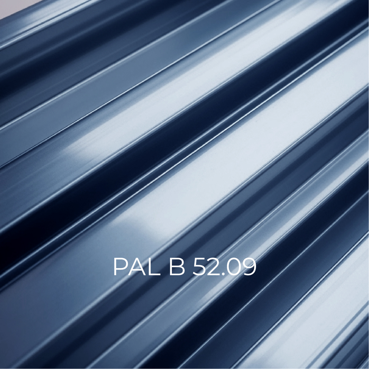 Pal5209